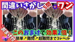 【 間違い探しクイズ 】効果 爆上がりのマル秘おまけQ！脳の老化防止に 効果 的⚡063 [upl. by Evilo573]