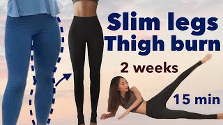 Slim legs amp thigh burn🔥secret easy workout  2 weeks beginner challenge 15minquietno equipment [upl. by Enyluqcaj374]