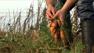 Prosto od rolnika  MODR Karniowice  film o sprzedaży artykułów rolnych [upl. by Steffen575]