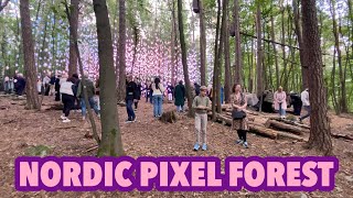 Nordic Pixel Forest [upl. by Eagle]