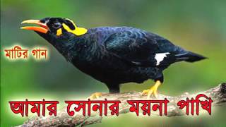 Bangla Song  আমার সোনার ময়না পাখি  OSMAN KHAN [upl. by Akinhoj203]