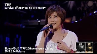 TRF  survival dAnce ～no no cry more～ （TRF 20th Anniversary Tour） [upl. by Icats]