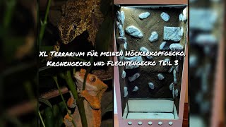 XL Terrarium für meinen Höckerkopfgecko Kronengecko und Flechtengecko Teil 3 [upl. by Yeung155]