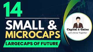 These 14 Micro and Smallcaps can be Largecaps of Future  Best Microcap amp Smallcap for Long Term [upl. by Anhcar]