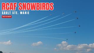 The RCAF Snowbirds Canada’s Coolest Pilots [upl. by Wahl]