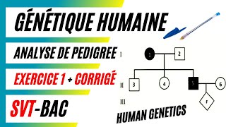 GÉNÉTIQUE HUMAINE Comment analyser un pedigrée  Exercice 1  Corrigé [upl. by Latsirk]