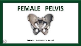 FEMALE PELVIS  Anatomy  Bones  Ligaments  Joints  True amp False Pelvis  The Nurses Station [upl. by Swaine]