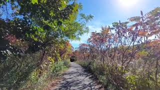 The Don Valley Trail System and the Lower Don Trail [upl. by Airekal448]