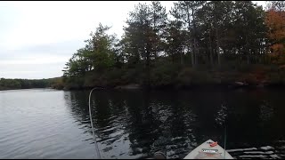 Fall Fishing Lake Tiorati 2019  Harriman NY [upl. by Razid930]