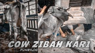 Cow🐄 Zibah Kari  Taha Abbasi vlog [upl. by Etta]