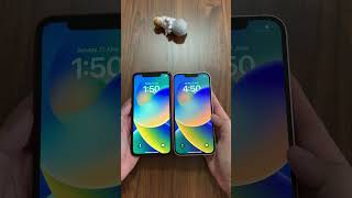 iphone 11 vs 13 [upl. by Lemaj]