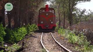 Viaggio del Trenino Verde della Sardegna da Macomer a Bosa [upl. by Nwavahs788]