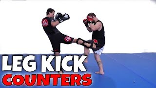 How to Counter a Leg Kick Basic Low Kick Defense [upl. by Nneb]