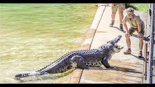 Robert Irwin Croc Show with Monty the Crocodile [upl. by Loria]