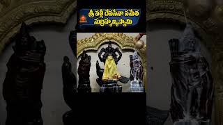 షణ్ముకోత్పత్తి ఎవరు వింటున్నారో వారికీ chaganti subramanya swami ramayanmotivationalstatus fyp [upl. by Figge]