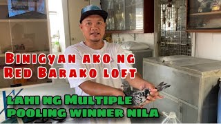 BINIGYAN AKO NG RED BARAKO LOFT NG LAHI NG MULTIPLE POOLING WINNER NILA Reggie Cruz Loft amp Aviary [upl. by Anwat729]