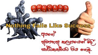 Pinnacle to Pitfall  සාර්ථකත්වයේ තිත්ත ඇත්ත  insight4U [upl. by Enomar]