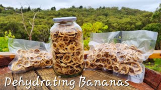 DEHYDRATING BANANAS  Make your own bananas chips that are actually good and healthy [upl. by Laryssa]