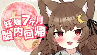 【3DIO／ASMR】胎内回帰 妊娠７ヶ月目 ママのお腹・赤ちゃんの胎動音【狼森うに／新人Vtuber】 [upl. by Richie]