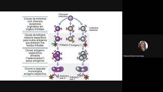 Aula 2 Imunidade Adquirida [upl. by Congdon822]