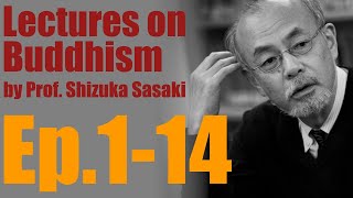 Episode 114  English SUB Lectures on Buddhism by Prof Shizuka Sasaki [upl. by Lahey]