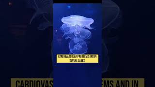 The STING of BOX Jellyfish is so Deadlyshorts [upl. by Kutzenco]