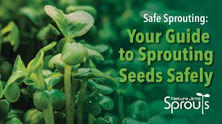 Sprouting Safely Your Complete Safety Guide To Sprouting Seeds  Nature Jims [upl. by Shafer]