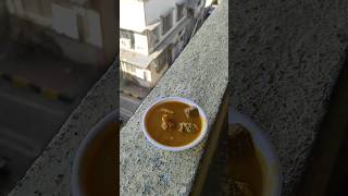 banglore style gosht ka phaal 🍲 mutton gravy viral food [upl. by Semajwerdna307]