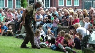 Roofvogelshow in Spijkenisse Nissewaard [upl. by Lessur886]