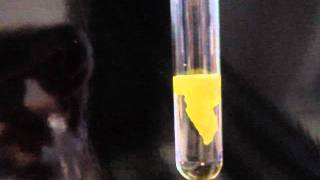 Lead II Iodide Precipitate [upl. by Acinorav]