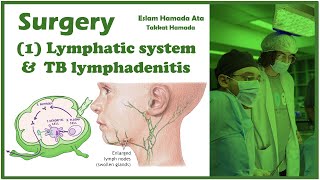 1 Surgery  Lymphatic system  Lymph nodes level and physiology  TB lymphadenitis [upl. by Imaj128]