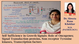 Self Sufficiency in Growth Signals2 Oncogenes Signal Transduction proteins Transcription factors [upl. by Ylecara]