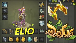 LELIOTROPE 17 PA SUR DOFUS [upl. by Stultz504]