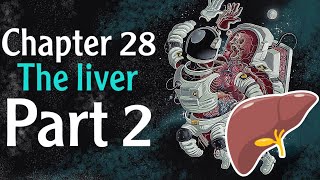 Physiology chapter 28 The Liver part 2  فسلجة وزاري [upl. by Howey1]