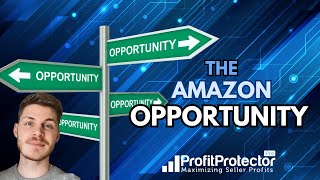 The Amazon Opportunity Explained [upl. by Rehtae]