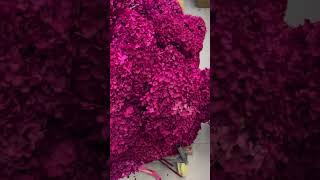 preserved hydrangea manufacturer your trustworthy partner 🤝😃hydrangea sayeflowers exporter [upl. by Whang]