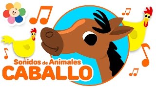 Los Sonidos de Animales  El Caballo  Rondas Infantiles de Los Animales para Niños  BabyFirst [upl. by Shama]