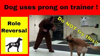 How NOT to Use a Prong Collar k91com [upl. by Sremlahc]