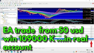 EA Pegasus Seiya from 50 usd win 109000 usd work done in real account  forex indices and Crypto [upl. by Ichabod161]