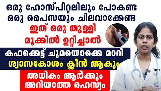 ഇത് ഒരു തുളളി മുക്കിൽ ഉറിച്ചാൽ കഫക്കെട്ട് ചുമയൊക്കെ മാറി ശ്വാസകോശം ക്ലീൻ ആകും [upl. by Sollows798]