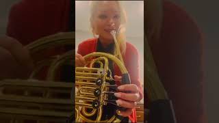 Introduction to the French Horn  In The Beginning [upl. by Yrrem279]