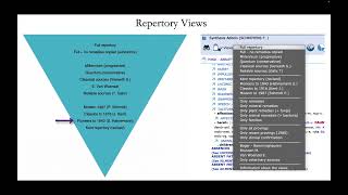 RadarOpus Repertory Views in Synthesis 2009 and Synthesis Adonis [upl. by Giulio]