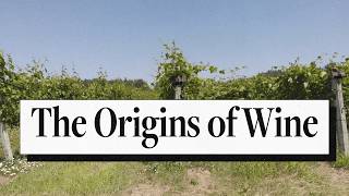 The Ancient Origins of Wine [upl. by Lindemann]