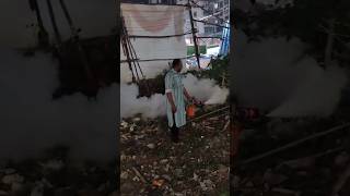 pest control mosquito fogging 🦟🦗macchar shortsvideo [upl. by Courcy]