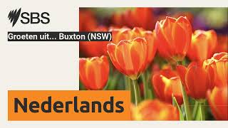 Groeten uit Buxton NSW  SBS Dutch  SBS Nederlands [upl. by Ayama]