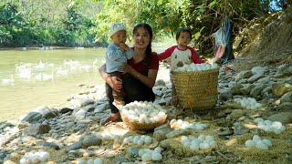 Harvest giant duck eggs to sell at the market  make dishes from duck eggs with your children [upl. by Nesyla]