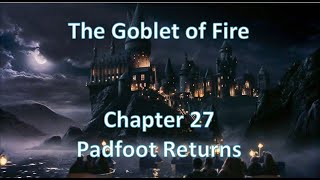 ⚜Harry Potter⚜ Audio in Korean  The Goblet of FireChapter27 Padfoot Returns [upl. by Sancha]