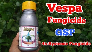 Propiconazole 139   Difenoconazole 139   Vespa Fungicide  Gsp Crop Science [upl. by Eibor698]