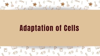 Adaptation of Animal amp Plant Cells  GCSE  Biology  Study Planner  Target Teach Tutors [upl. by Ojyram659]