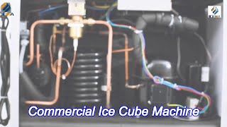 1000KG24H Commercial Ice Cube Machine 3000W 1 Ton For Coffee Bar  Restaurant  Hotels [upl. by Tterab801]